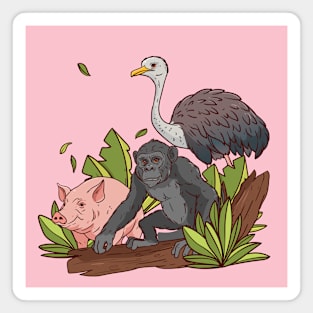 Pig Chimpanzee Ostrich Wild Animal Magnet